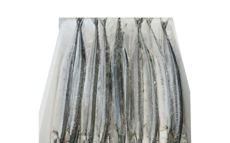 ＜12月21日決済分まで年内配送＞【北海道根室産】冷凍さんま60尾 D-70002