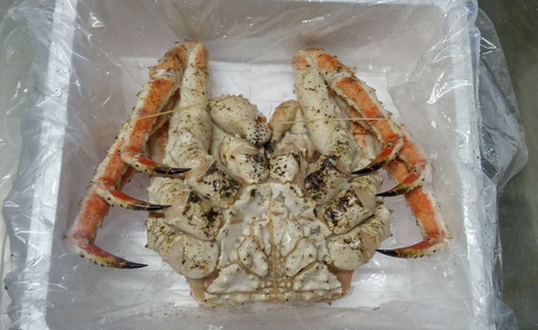 ＜12月21日決済分まで年内配送＞本タラバガニ2.3kg前後×1尾 E-57006