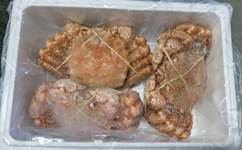 【北海道根室産】毛がに3尾(計2kg前後) E-57007