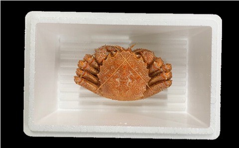 ＜12月21日決済分まで年内配送＞ボイル毛がに700g×1尾 F-01022