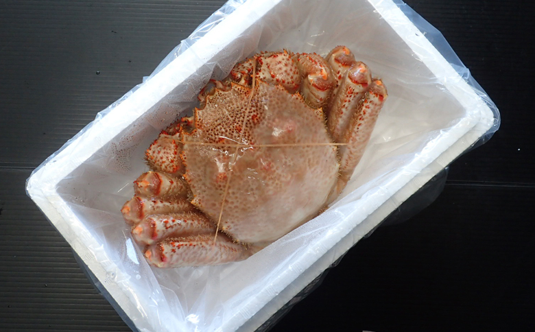 ボイル毛がに900g～1.1kg×1尾 F-11029