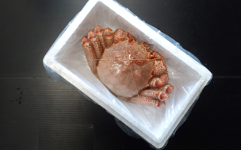 ＜12月10日決済分まで年内配送＞ボイル毛がに900g～1.1kg×1尾 F-14029