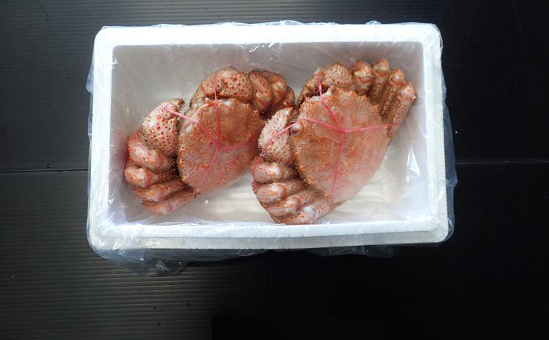 ボイル毛がに500～600g×2尾 F-14030