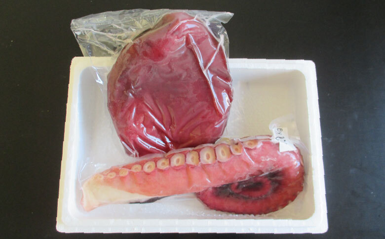 ＜12月21日決済分まで年内配送＞【北海道根室産】真たこ足1～1.3kg・たこ頭1.5～1.9kgセット F-19002