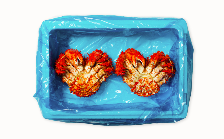 ＜12月14日決済分まで年内配送＞【北海道根室産】花咲かに700g×2尾(計1.4kg) F-20013