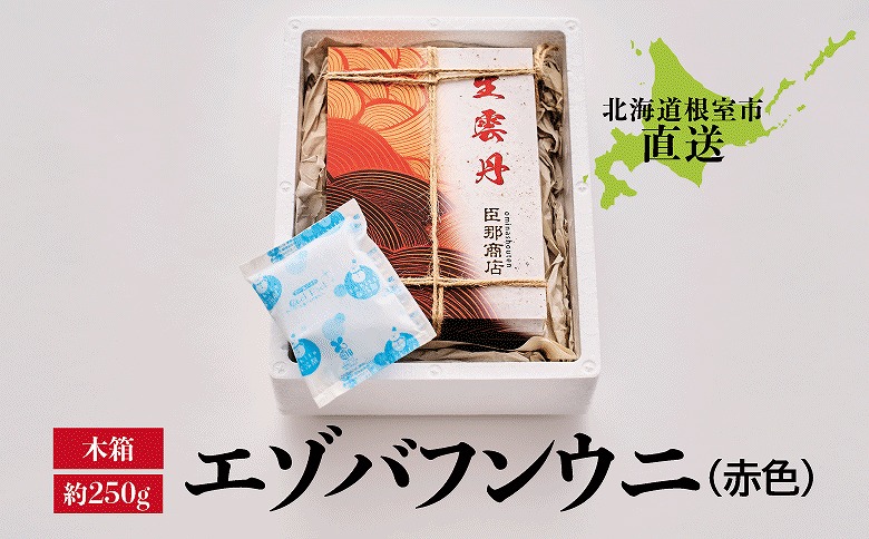 エゾバフンウニ(赤色)約250g×1折 F-22001