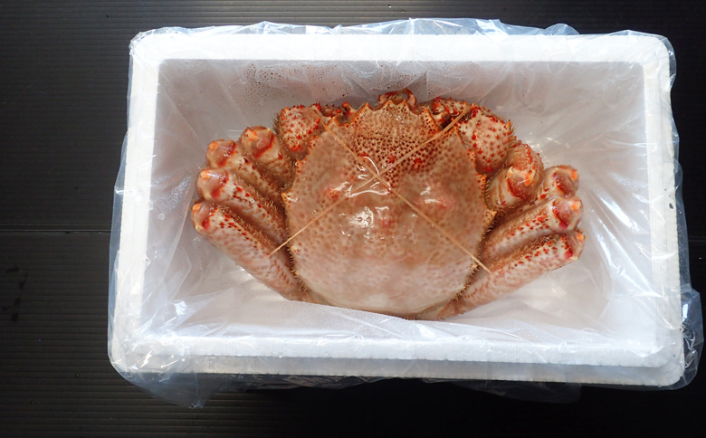 ＜12月10日決済分まで年内配送＞根室海鮮市場＜直送＞ボイル毛がに900g～1.1kg×1尾 F-28029