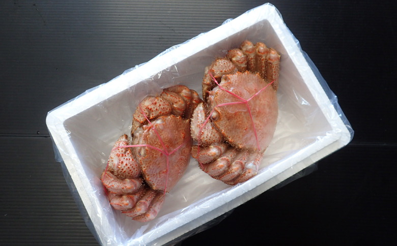 ＜12月10日決済分まで年内配送＞根室海鮮市場＜直送＞ボイル毛がに500～600g×2尾 F-28030