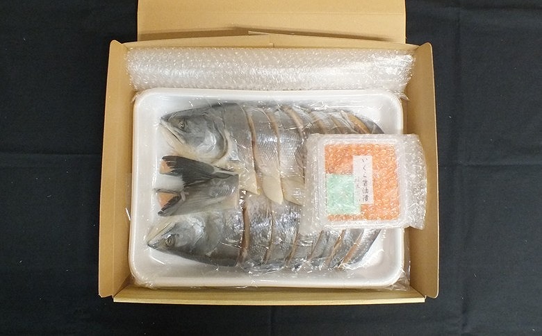 【北海道根室産】時しらず鮭1.5kg×1P・いくら醤油漬け50g×1P F-42013