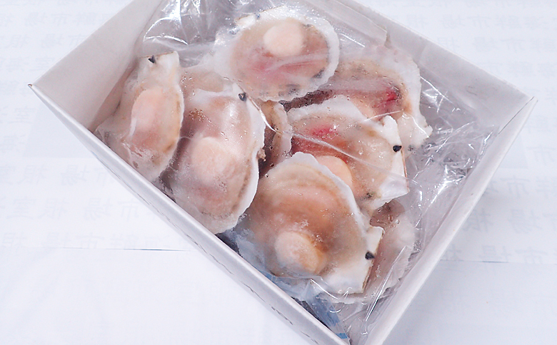 ＜12月10日決済分まで年内配送＞片貝ほたて10枚 G-11044