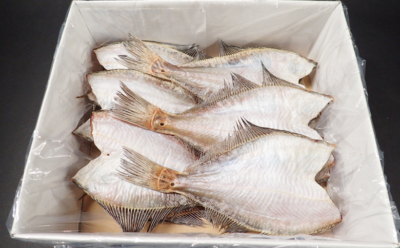 ＜12月10日決済分まで年内配送＞【北海道根室産】一夜干し宗八かれい12枚 G-14006