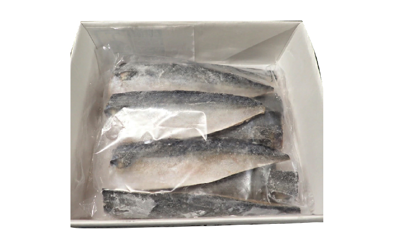 塩さばフィーレ11枚入×1P(計約1.5kg) G-14021