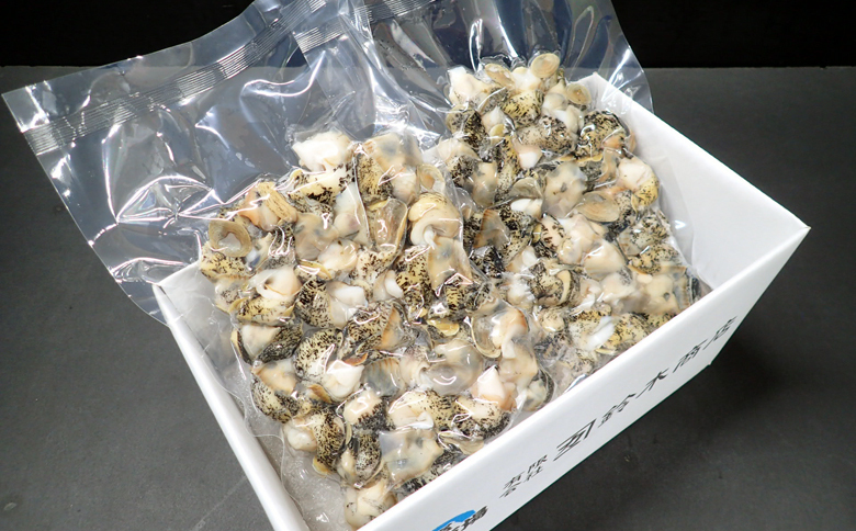 ＜12月10日決済分まで年内配送＞根室海鮮市場＜直送＞【北海道根室産】生食用灯台つぶ(ボイル済)250g×2P(計500g) G-28040