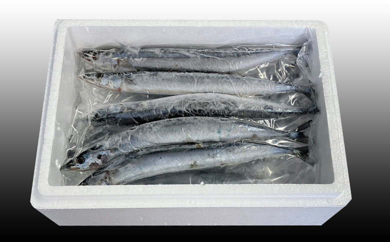 ＜12月21日決済分まで年内配送＞【北海道根室産】冷凍生さんま5尾×2P G-30001