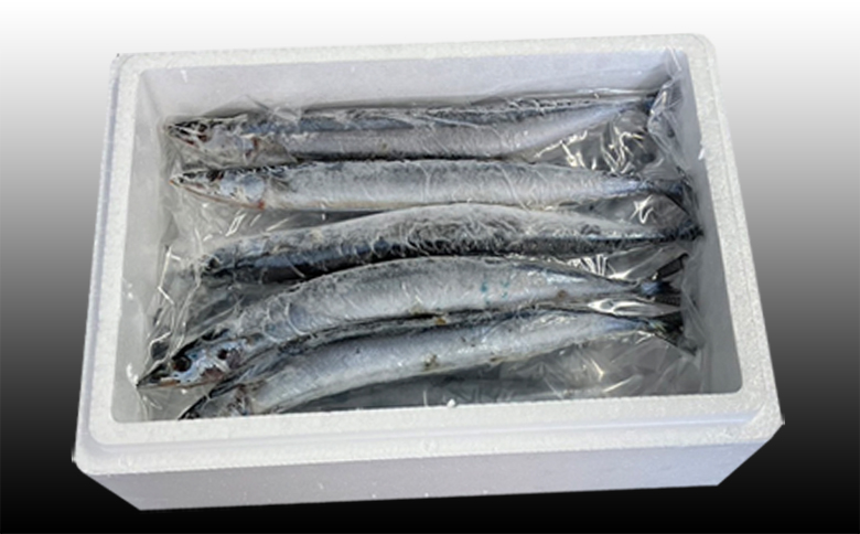 【北海道根室産】冷凍生さんま5尾×2P G-36001