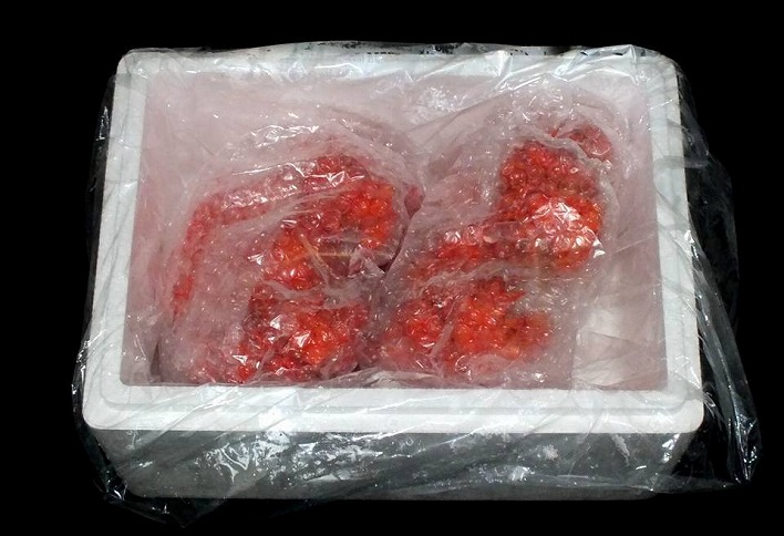 ＜12月21日決済分まで年内配送＞【北海道根室産】＜鮭匠ふじい＞ボイル花咲がに2尾(計約700g) G-42010