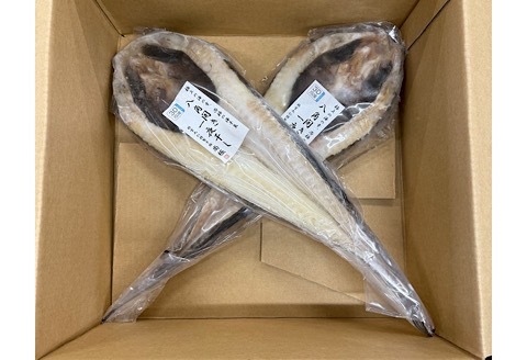 ＜12月21日決済分まで年内配送＞【北海道根室産】八角開き一夜干し1枚×2P G-50006