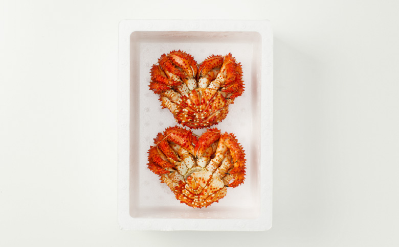 ＜12月21日決済分まで年内配送＞【北海道根室産】花咲がに500g前後×2尾 G-54002