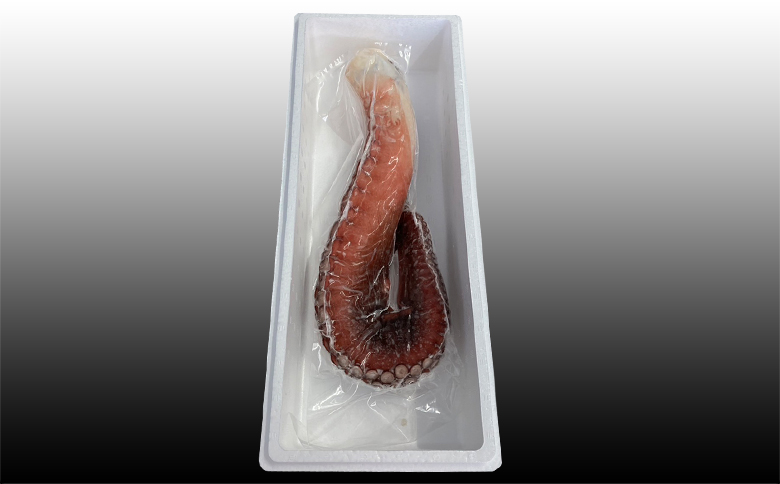 ＜12月21日決済分まで年内配送＞【北海道根室産】たこ足500g前後～800g前後×1本 G-70008