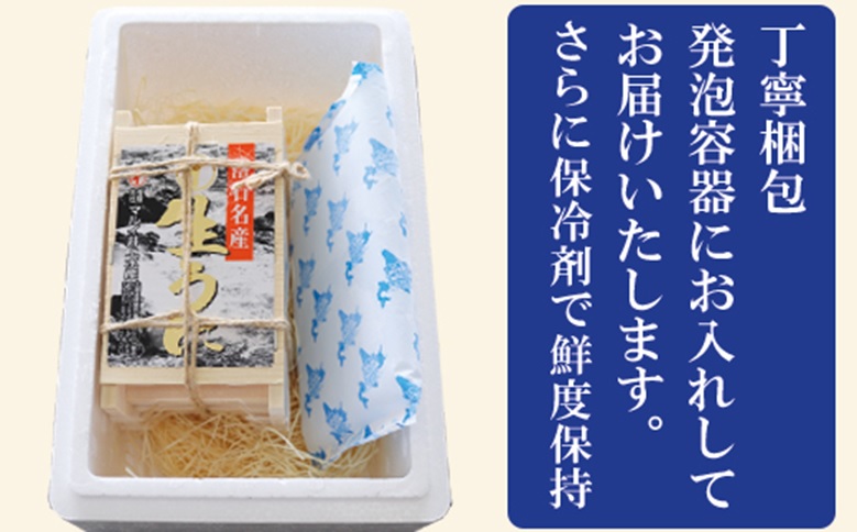 エゾバフンウニ50～60g×1折[2026年3月上旬以降発送] G-71004