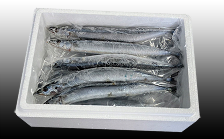 ＜12月21日決済分まで年内配送＞【北海道根室産】冷凍生さんま5尾×2P G-76001