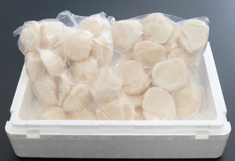 ＜12月17日決済分まで年内配送＞＼漁業者応援品／【北海道根室産】＜計1.4kg＞ホタテ貝柱700g×2P D-32010