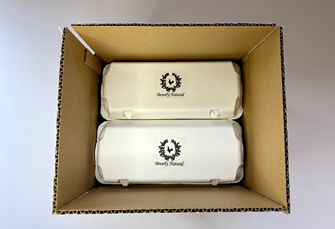 【北海道根室産】美波里のたまご10個入×6P(計60個) F-39001