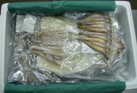 干物セット B-33002