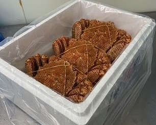 ＜12月17日決済分まで年内配送＞毛がに500～600g×3尾 D-60009