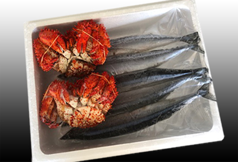 ＜12月21日決済分まで年内配送＞【北海道根室産】花咲かに2尾・冷凍さんま5尾セット A-30004