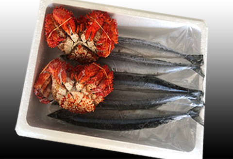 ＜12月21日決済分まで年内配送＞【北海道根室産】花咲かに2尾・冷凍さんま5尾セット A-36004