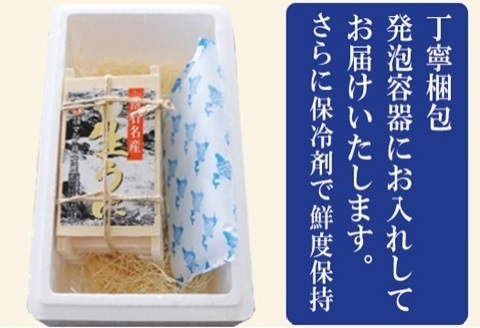 エゾバフンウニ70g×2折[2026年2月下旬以降発送] B-71011