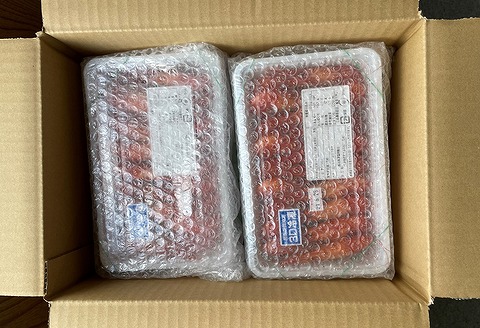 【北海道根室産】北海しまえび1kg B-12001