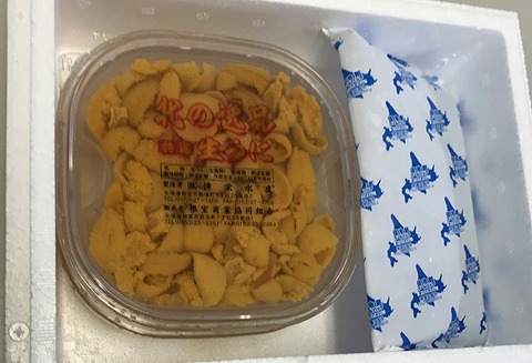 ＜12月7日決済分まで年内配送＞エゾバフンウニ塩水パック60～70g×2P[11月中旬以降発送] B-18001