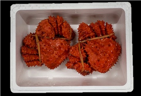 【12/31決済分まで1月中配送】 【北海道根室産】花咲がに500g×2尾 B-01027