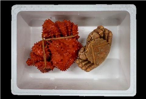 ＜12月21日決済分まで年内配送＞【北海道根室産】毛がにと花咲がに B-01028