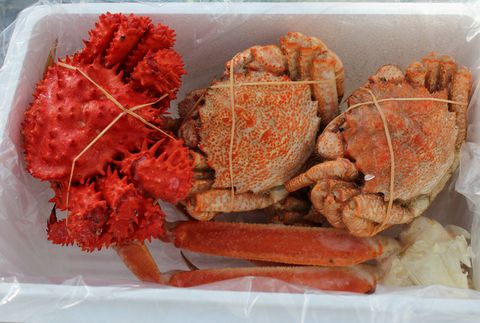 ＜12月21日決済分まで年内配送＞本ズワイガニ、花咲ガニ、クリガニセット B-57012