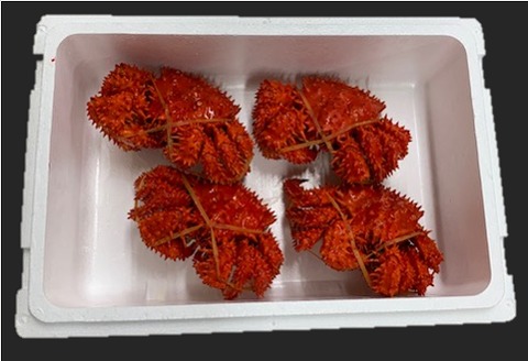 ＜12月21日決済分まで年内配送＞【北海道根室産】花咲がに姿350～450g×4尾 A-01041