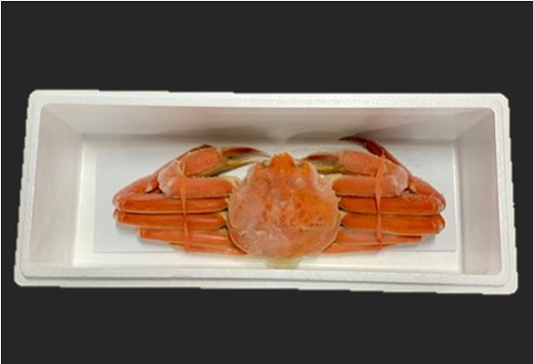 ＜12月21日決済分まで年内配送＞ボイルずわいがに姿600g×1尾 A-01046