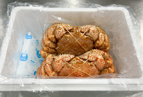 ＜12月21日決済分まで年内配送＞【北海道根室産】浜ゆで毛がに300g～400g×2尾 F-05006