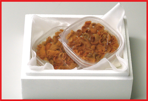 エゾバフンウニ(赤色)塩水パック80～90g×2P [2026年1月下旬以降発送] C-07020