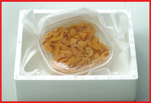 エゾバフンウニ(黄色)塩水パック100～110g×1P [2026年1月下旬以降発送] C-07021