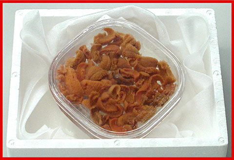 エゾバフンウニ(赤色)塩水パック100g×1P [2026年1月下旬以降発送] B-07018