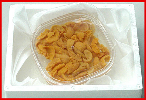 エゾバフンウニ(黄色)塩水パック70g×1P [2026年1月下旬以降発送] B-07019