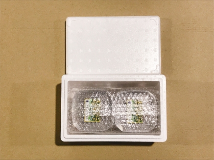 ＜12月14日決済分まで年内配送＞【北海道根室産】灯台つぶわさび　120g×6個 A-09047