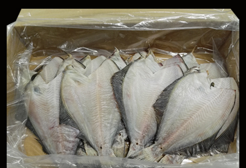 【北海道根室産】一夜干し浅羽がれい20枚 A-11059