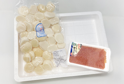 お刺身用ほたて600g・醤油いくら140g B-16085