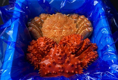 ＜12月21日決済分まで年内配送＞【北海道根室産】毛がに・花咲がにセット A-21002