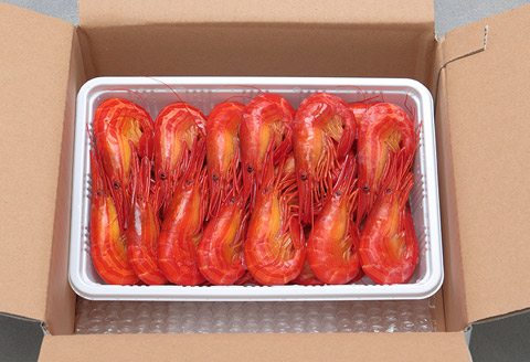 ＜12月17日決済分まで年内配送＞【北海道根室産】北海しまえび400g(19～24尾) A-24012