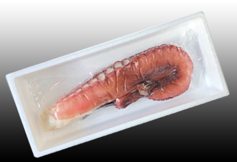 ＜12月21日決済分まで年内配送＞【北海道根室産】たこ足800g前後～1.4kg前後×1本 A-30050